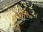 20110927_Baubilder_001_DN